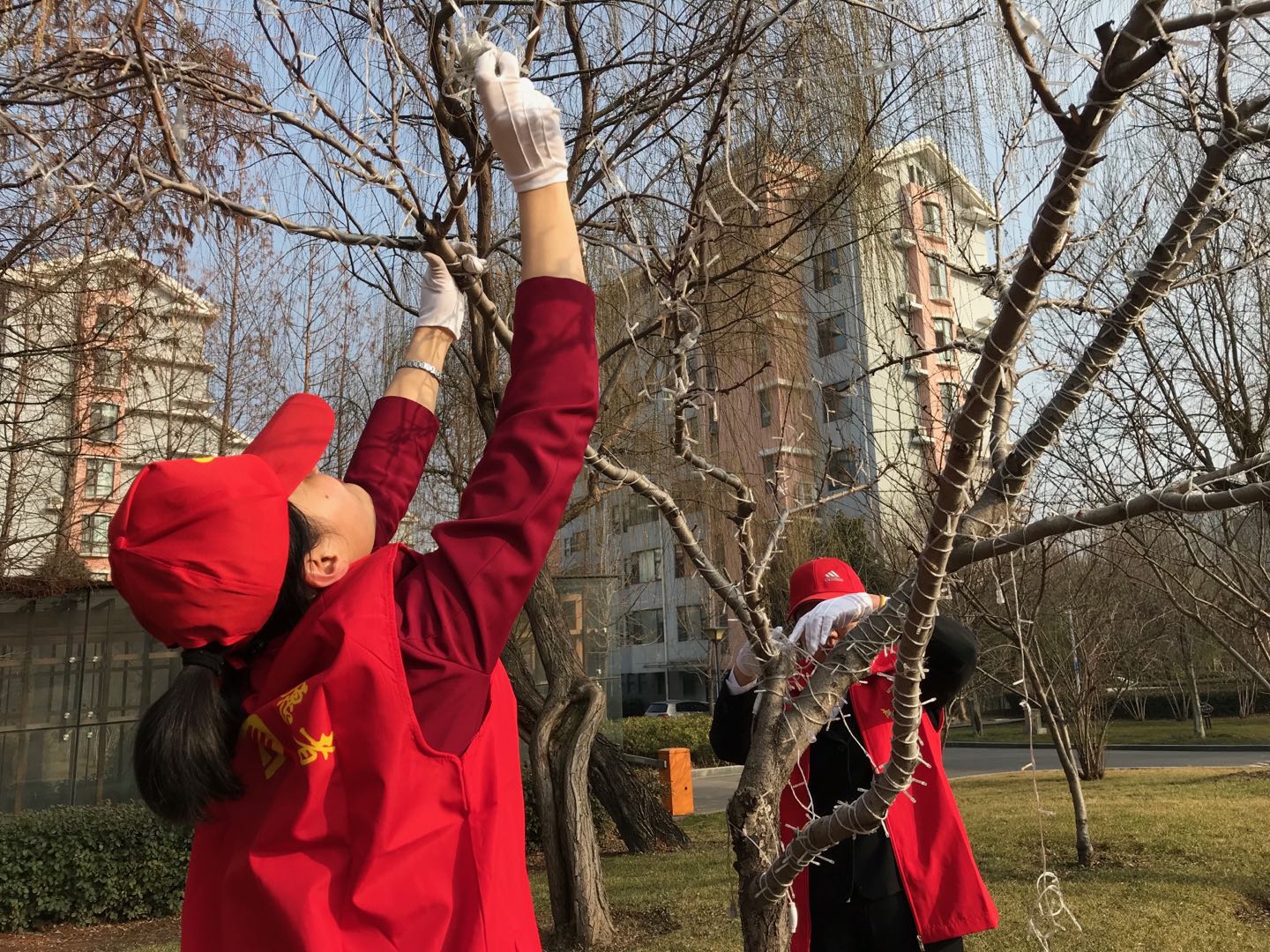 三和實業(yè)黨支部開展“學雷鋒 講奉獻”志愿服務活動
